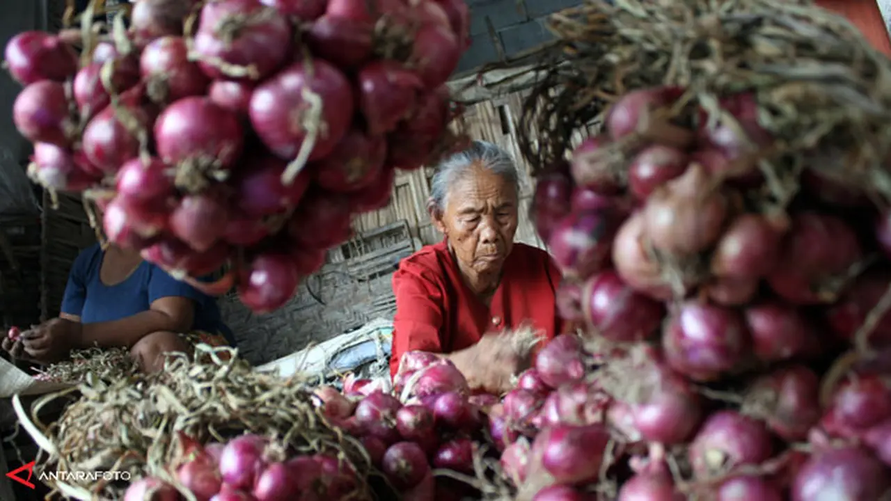 bawang-inflasi-130903b.jpg