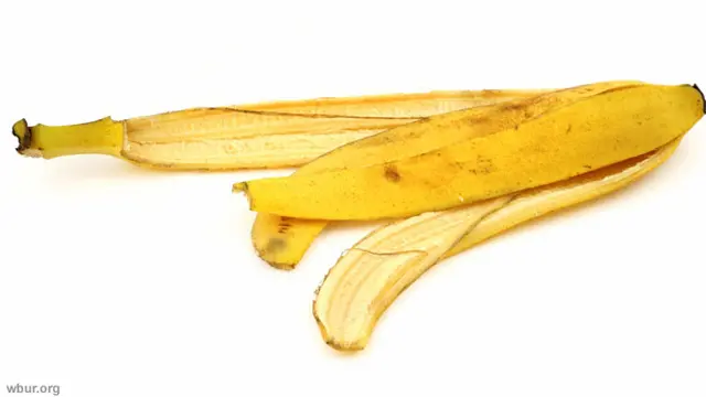 kulit-pisang-130712b.jpg