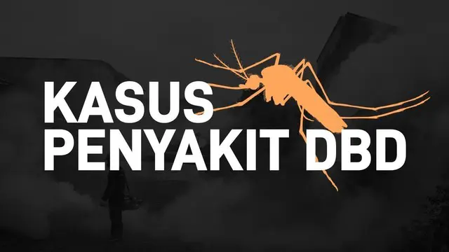 VIDEO: Ketika Kasus DBD Terus Berulang