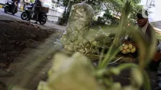 Pedagang musiman memilah kulit ketupat di bawah kolong jembatan kawasan Pesanggrahan, Jakarta, Jumat (8/7/2022). Pedagang musiman memanfaatkan Idul Adha untuk berjualan kulit ketupat. (Liputan6.com/Johan Tallo)