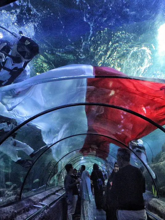 Pengunjung mengamati penyelam membentangkan bendera Merah Putih untuk memperingati HUT Ke-73 RI di Seaworld Ancol, Jakarta, Jumat (17/8). Pengibaran bendera melibatkan para penyelam profesional dan artis peran Marsha Aruan. (Liputan6.com/Faizal Fanani)