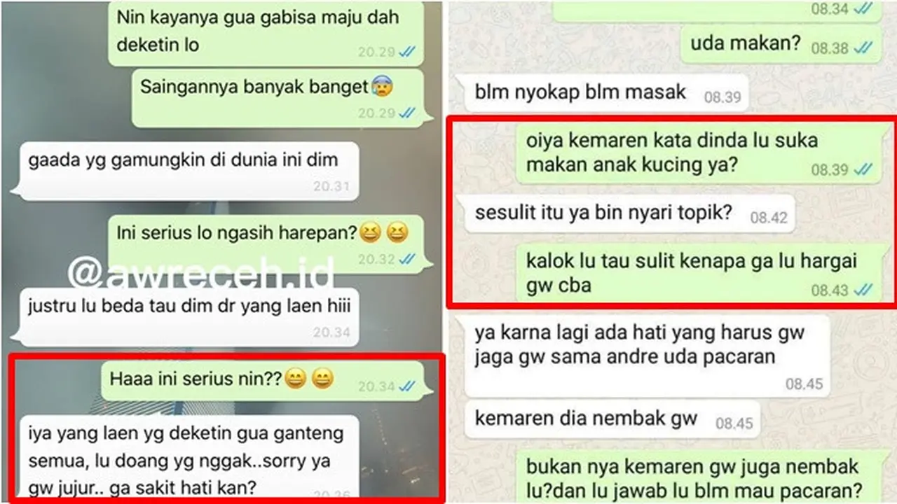 7 Chat Balasan Ditolak oleh Cewek Ini Bikin Nyesek Sekaligus Kocak