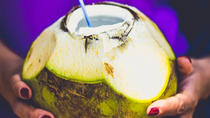 Ilustrasi Air Kelapa