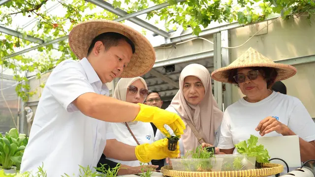 Intip Kisah Inspiratif KWT Buaran Citra Lestari Bersama BRInita