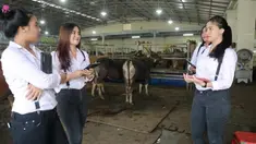 Di tempat ini, anda akan mendapat sensasi berbeda saat membeli hewan kurban dibanding tempat lain.