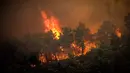 Hembusan angin hingga 49 kilometer (31 mil) per jam mempersulit upaya untuk mengendalikan kobaran api. (Photo by EUROKINISSI / Eurokinissi / AFP)