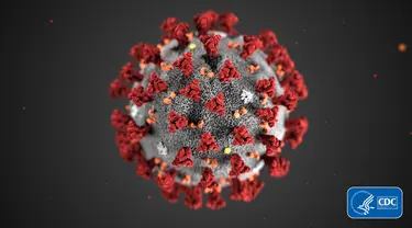 Ilustrasi Novel Coronavirus 2019 (2019-nCoV). Hingga saat ini, wabah virus corona masih belum bisa dimusnahkan. (CDC via AP, File)