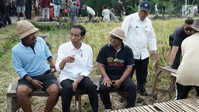 Awali Kegiatan di Bali, Jokowi Tinjau Pelaksanaan Padat Karya Tunai di Tabanan