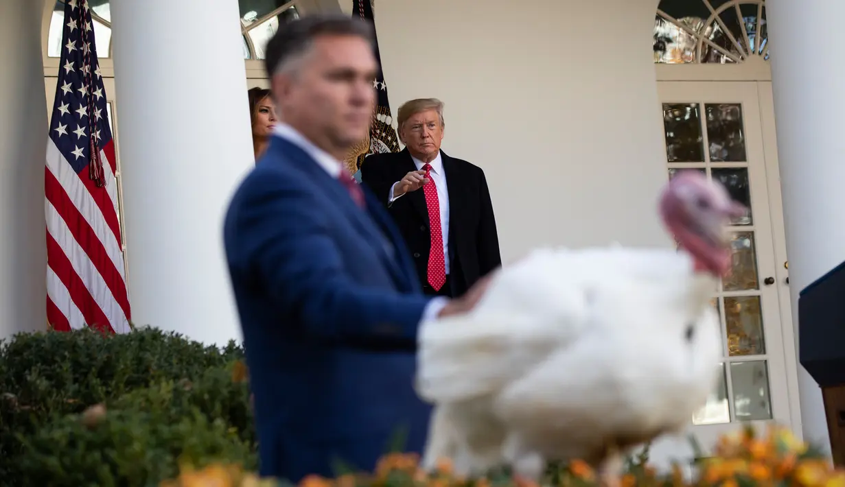 Presiden AS, Donald Trump setelah memberikan pengampunan kepada kalkun dalam upacara Thanksgiving nasional di Rose Garden Gedung Putih, Selasa (26/11/2019). Ini merupakan tradisi tahunan yang diadakan di Gedung Putih sehari sebelum perayaan Hari Thanksgiving. (AP/Evan Vucci)