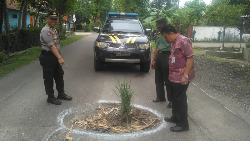 Polisi dan anggota TNI di Kebumen menandai jalan rusak dengan cat dan menanami padi di jalan berlubang. (Foto: Liputan6.com/Humas Pemkab Banyumas/Muhamad Ridlo)