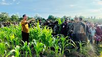 Presiden Joko Widodo meninjau lumbung pangan atau food estate dalam kunjungan kerjanya di Kabupaten Keerom, Papua, Selasa (21/3/2023). (Foto: Laily Rachev - Biro Pers Sekretariat Presiden).
