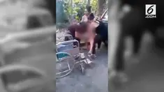 Seorang wanita melahirkan di parkiran lantaran tak mendapatkan perawatan Rumah Sakit Jose Edmunda Vasquez, El Salvador.