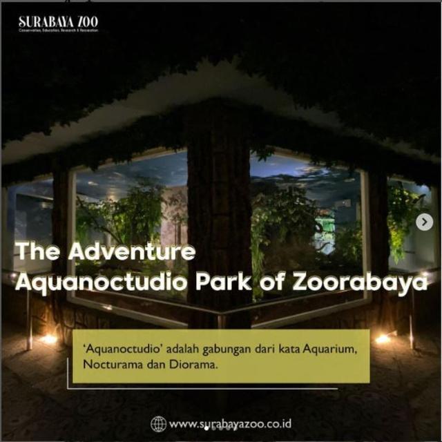 Kebun Binatang Surabaya Buka 2 Wahana Baru Saat Libur Lebaran