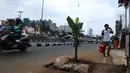 Pejalan kaki melintasi lubang bekas galian yang ditanami pohon pisang di pinggir Jalan Raya Margonda, Depok, Senin (4/3/2019). Aksi tanam pohon pisang itu sebagai protes warga akibat banyaknya lubang galian di Jalan Margonda (Liputan6.com/Herman Zakharia)