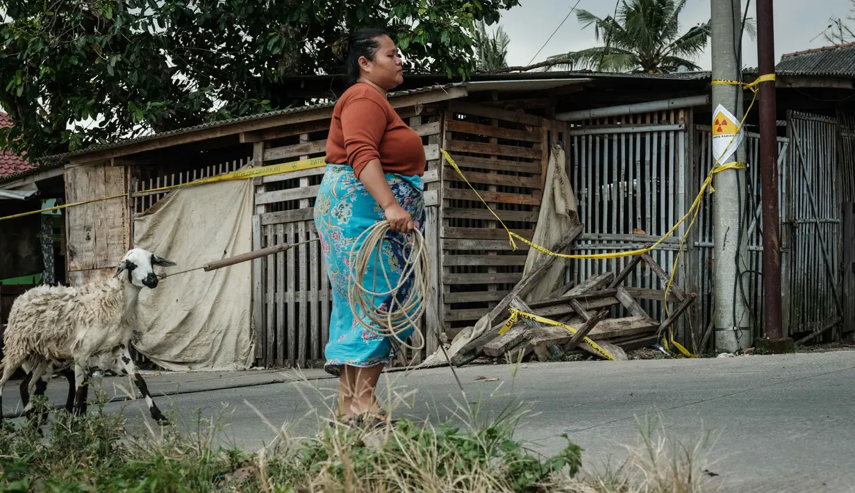 Bekerjasama dengan sejumlah pihak, Kementerian Lingkungan Hidup  (KLH) melakukan proses dekontaminasi secara intensif. (Yasuyoshi CHIBA/AFP)