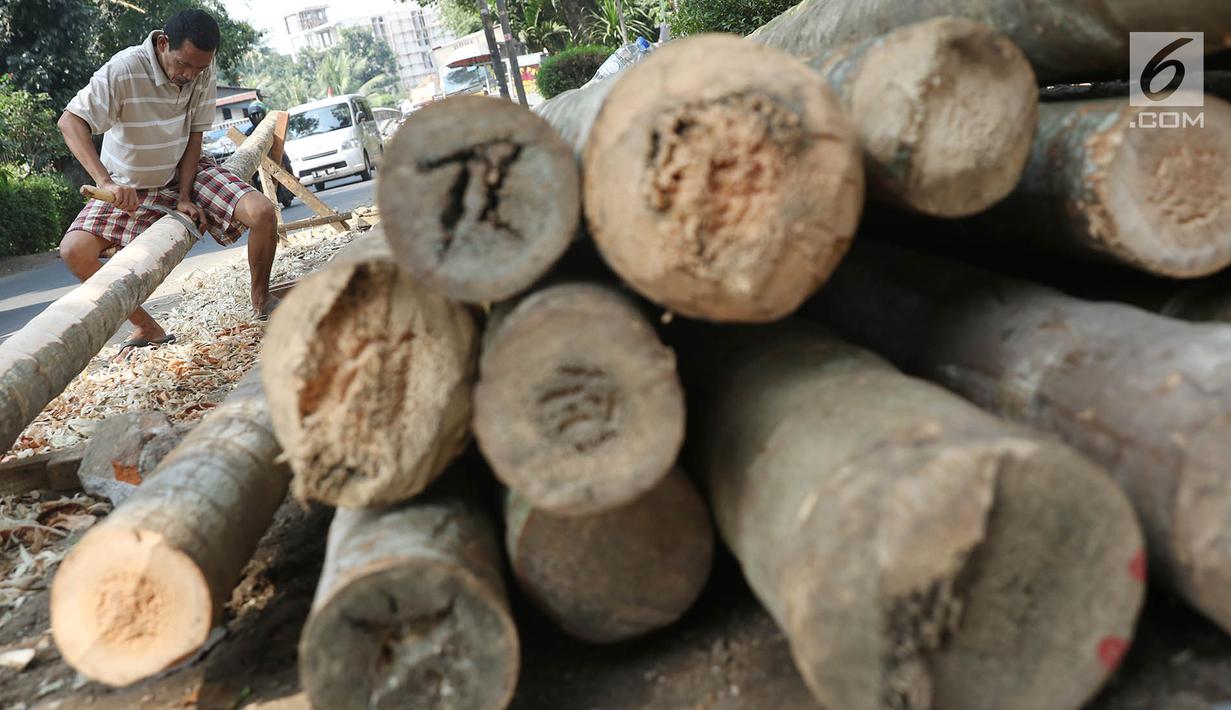 Pedagang menyerut batang pohon pinang yang dijual di kawasan Manggarai, Jakarta, Kamis (3/7). Pohon pinang tersebut dijual seharga Rp900ribu perbatang, yang banyak digunakan untuk meramaikan perlombaan perayaan HUT RI. (Liputan6.com/Immanuel Antonius)