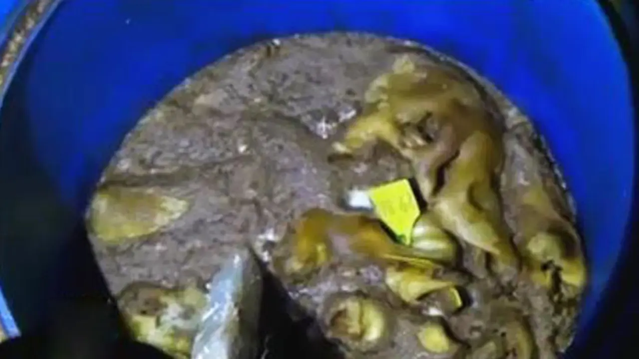 Pabrik Kikil Berformalin di Tasikmalaya Sudah 2 Tahun Berproduksi