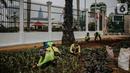Pekerja menanam tanaman di sekitar kompleks Parlemen Gedung DPR/MPR, Senayan, Jakarta, Rabu (16/10/2019). Jelang pelantikan presiden dan wakil presiden pada 20 Oktober, berbagai persiapan dilakukan Gedung DPR, salah satunya mempercantik pagar di depan pintu masuk. (Liputan6.com/Faizal Fanani)