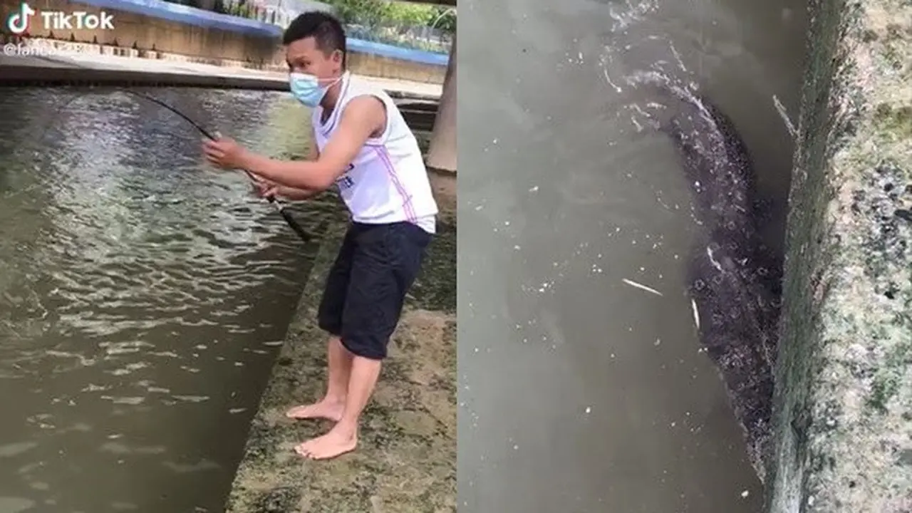 Mancing di Bawah Jembatan, Pria Ini Kaget Malah Dapat Buaya