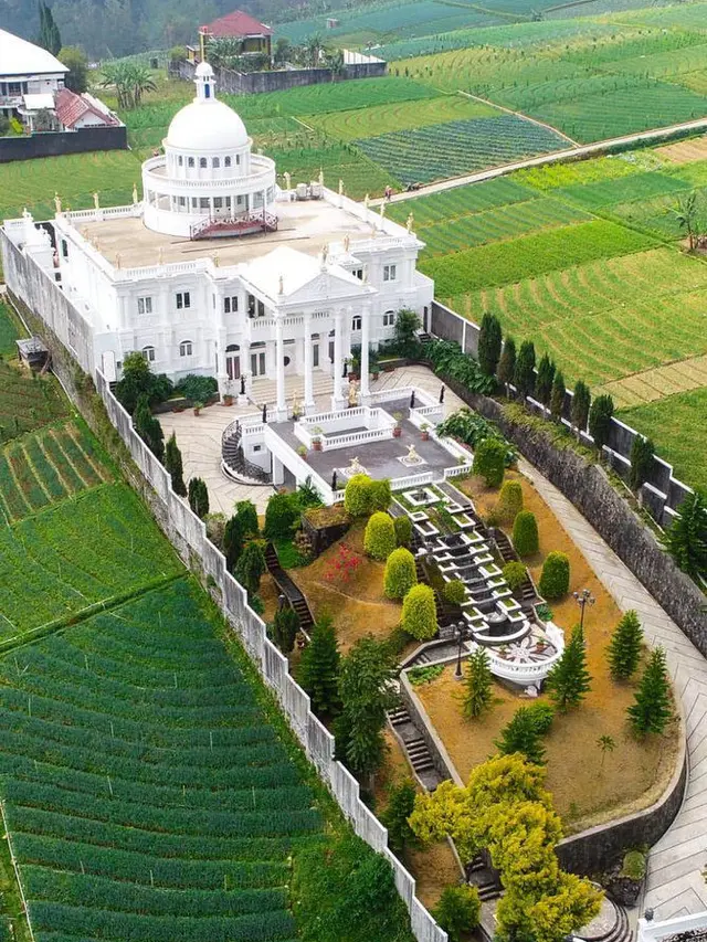 Viral Rumah Megah Bak Istana di Tengah Sawah, Bikin Penasaran Warganet
