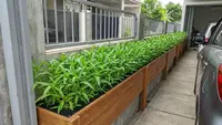 9 Desain Kebun Sayur Minimalis Depan Rumah Pakai Box Planter Kayu, Tren Hunian Sehat