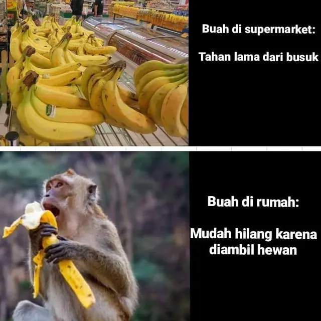 7 Meme Beda Buah Saat di Supermarket dengan di Rumah Ini Bikin Tepuk Jidat