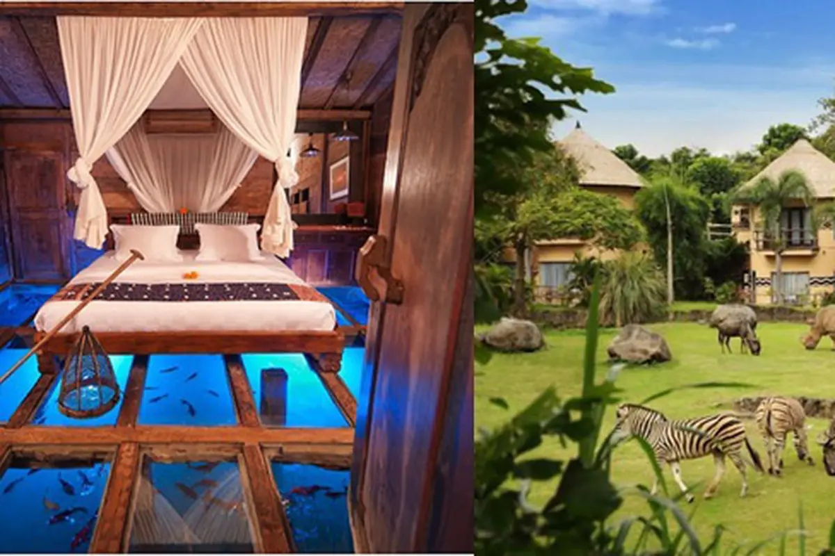 Foto: copyright bali.mehthesheep.com