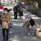 Jepang Paling Sopan, Amerika Serikat Paling Royal, Ini Daftar Wisatawan Terbaik di Dunia