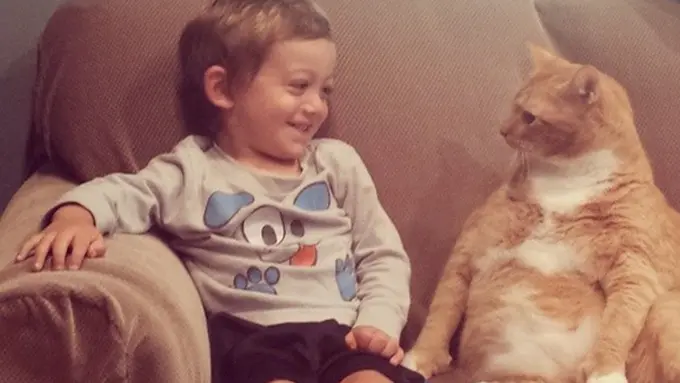 Foto: copyright boredpanda.com