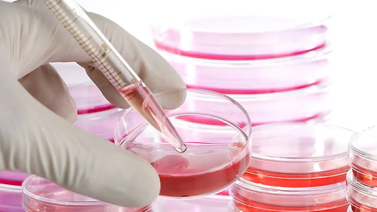 stem-cell-131107b.jpg