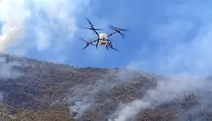 Kebakaran Bromo Meluas Capai 86 Hektare, Drone Dikerahkan Bantu Pemadaman
