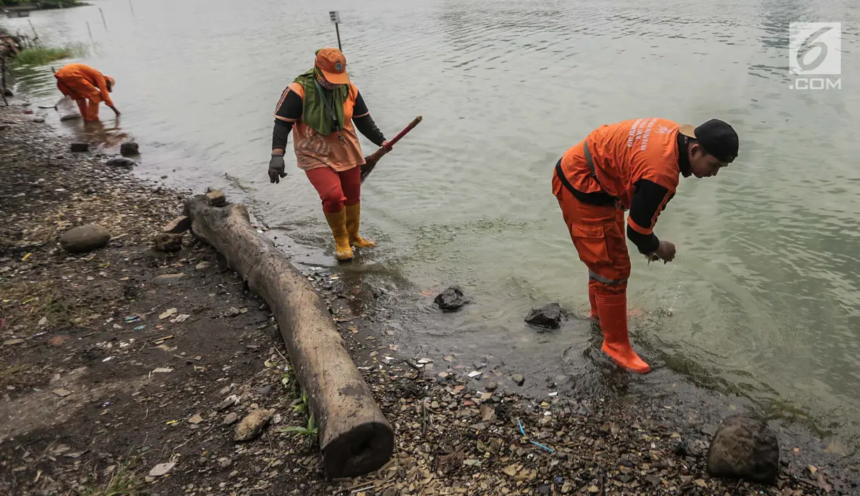 Petugas PSSU atau pasukan oranye membersihkan pinggiran Danau Sunter, Jakarta, Rabu (27/12). Aksi bersih-bersih itu terkait rencana kegiatan pesta malam tahun yang akan digelar Pemkot Jakarta Utara di danau Sunter. (Liputan6.com/Faizal Fanani)