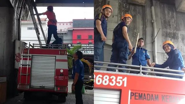 Drama 3 Jam Tim Selamatkan Kucing Terjebak di Fly Over 5 Hari, Bikin Haru