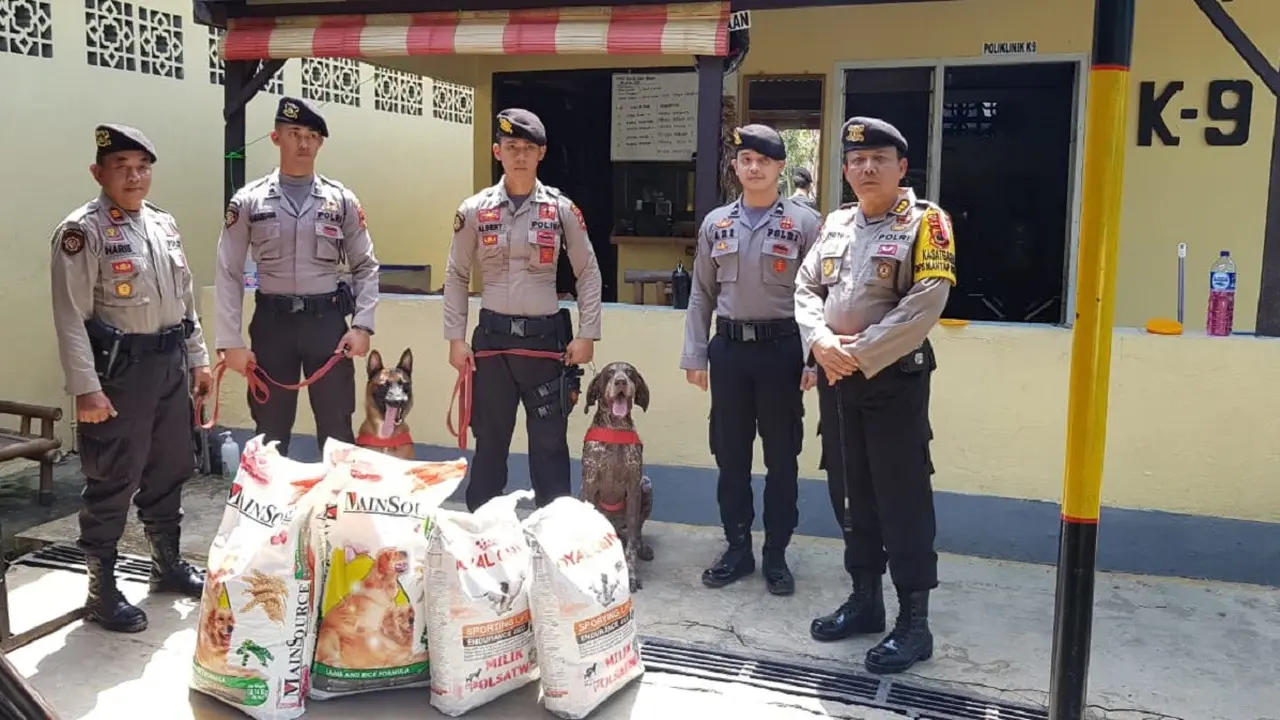 Polda Sulsel kirim 2 ekor anjing herder ke lokasi gempa bumi di Palu (Humas Polda Sulsel/ Eka Hakim)