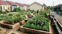 9 Ide Kebun Sayur Bersama di Komplek Perumahan Subsidi, Lahan Fasum Jadi Produktif