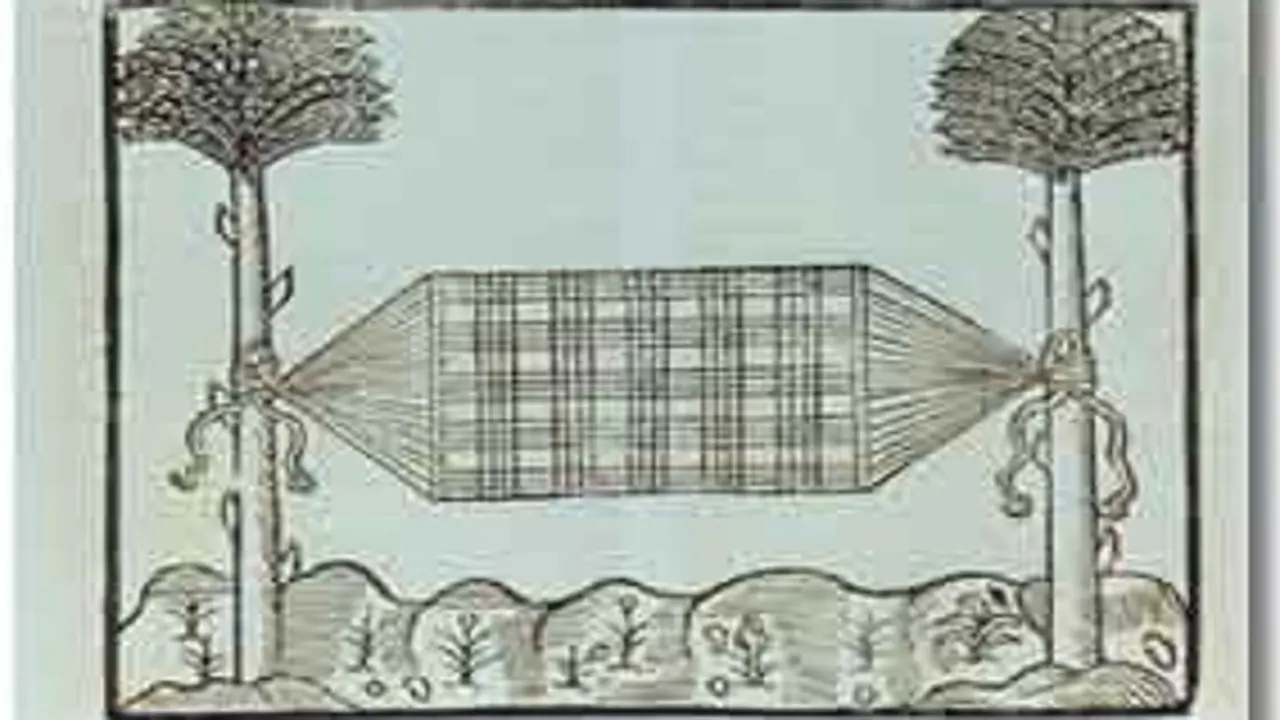 Hammock