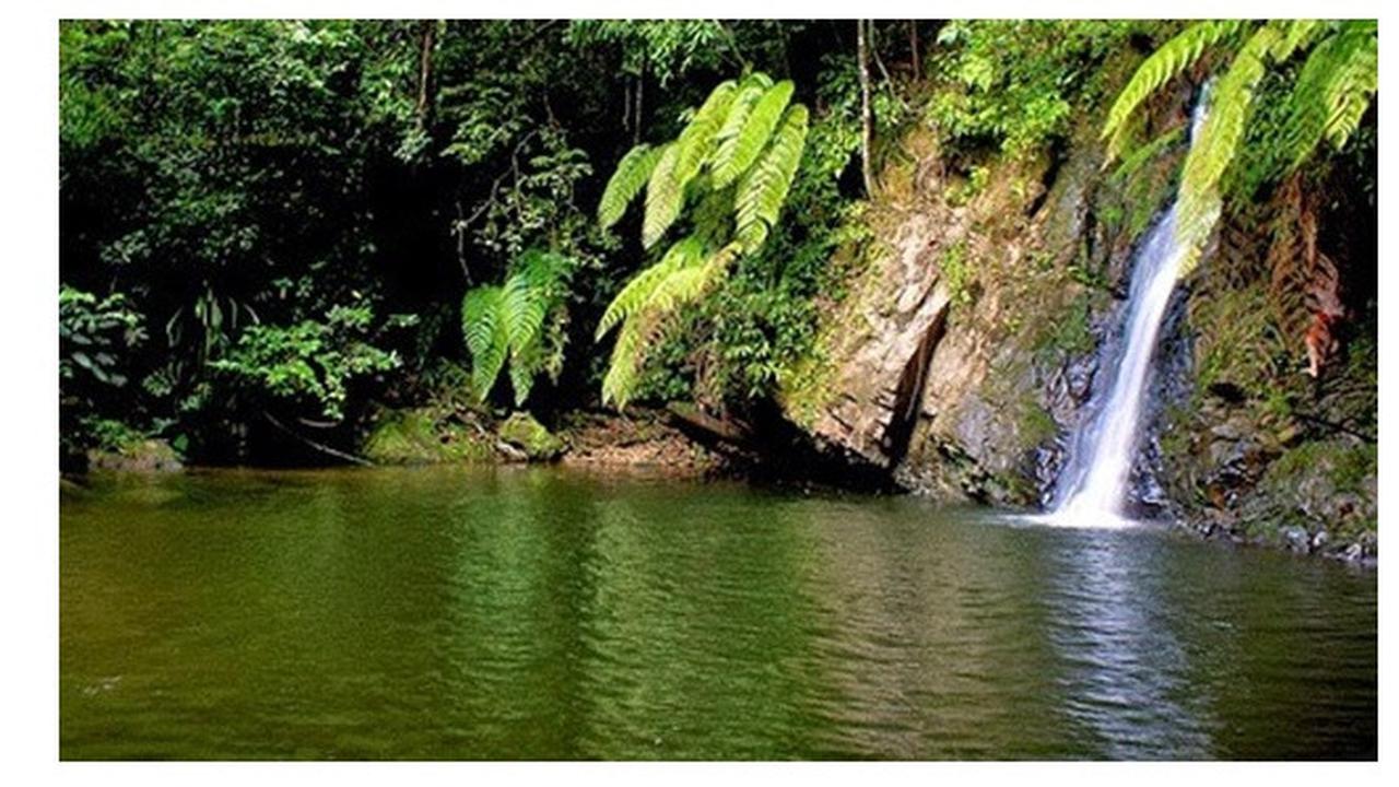 Air Terjun Batu Dinding, Surga Tersembunyi di Riau
