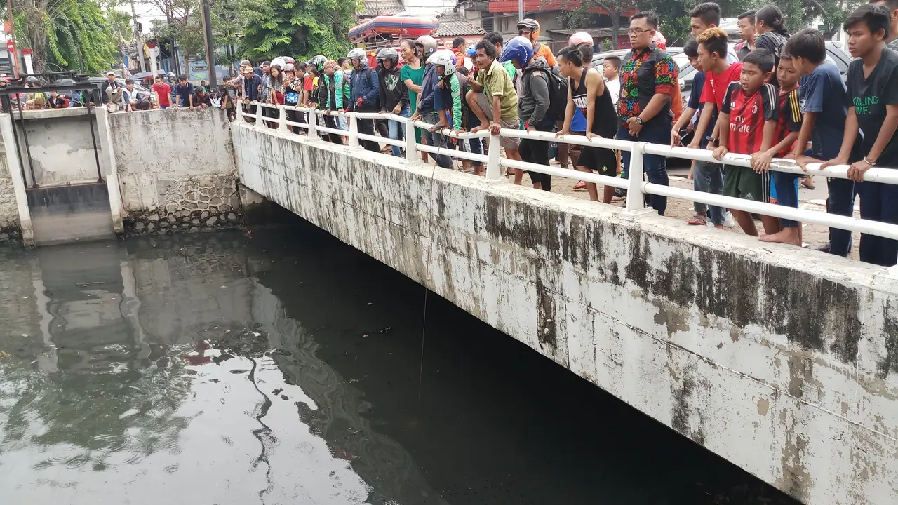 Kawanan buaya terlihat di Kali Grogol, Jakarta Barat