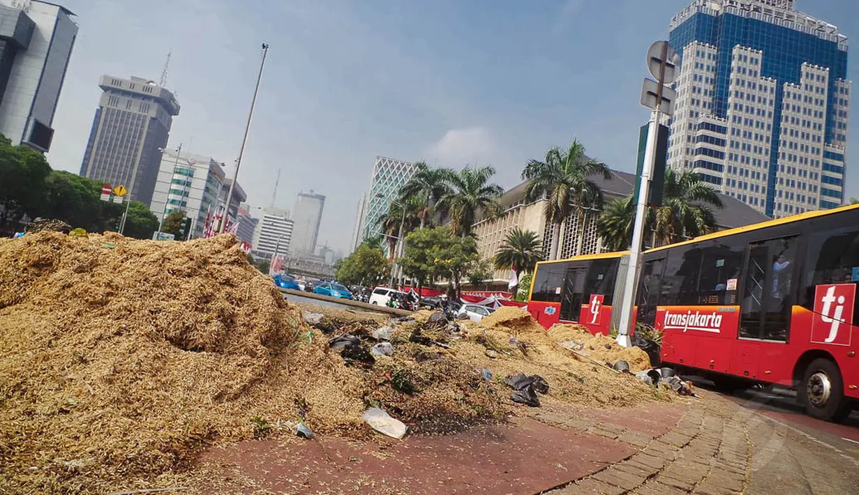 Tanaman disekitar Taman Silang Monas rusak parah akibat diinjak-injak sejumlah orang saat orasi, Kamis (21/8/14) kemarin. (Liputan6.com/Faizal Fanani)