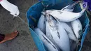 Sejumlah ikan hasil tangkapan laut dikumpulkan dalam wadah di Muara Baru, Jakarta, Kamis (29/3). KKP terus mengupayakan peningkatan ekspor komoditas perikanan hasil tangkapan dari nelayan tradisional. (Liputan6.com/Angga Yuniar)