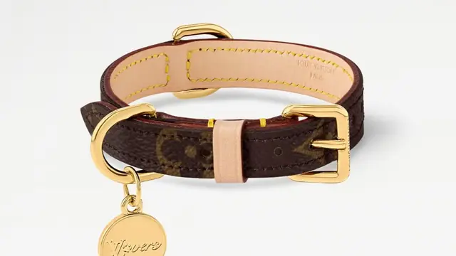 Bukan Main, Louis Vuitton Kini Rilis Tas, Mangkuk Makan, hingga Tali untuk Si Anjing Konglo