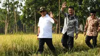 Kawal LP2B, Bentuk Komitmen Lumajang untuk Penyediaan Pangan