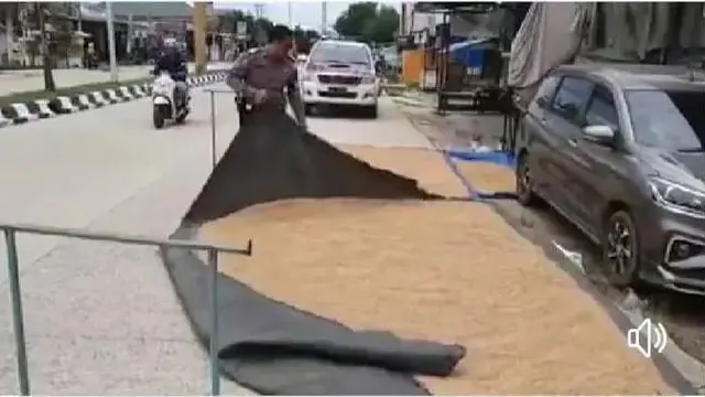 8 Potret Nyeleneh Orang Jemur Gabah dan Jagung di Jalan Ini Bikin Geleng Kepala