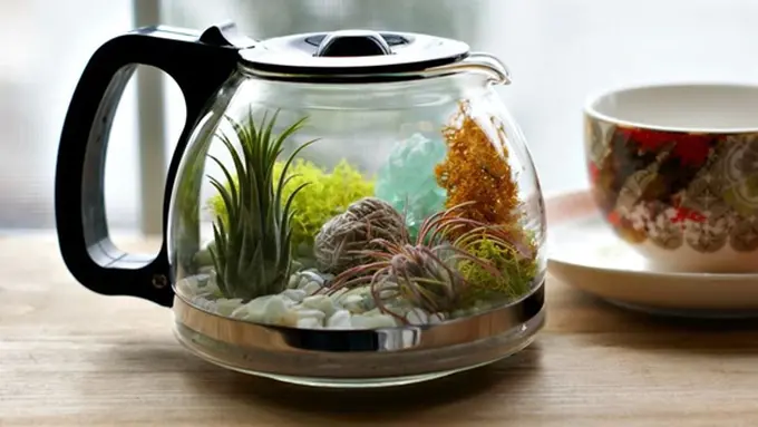 Copyright by acharmingproject.com