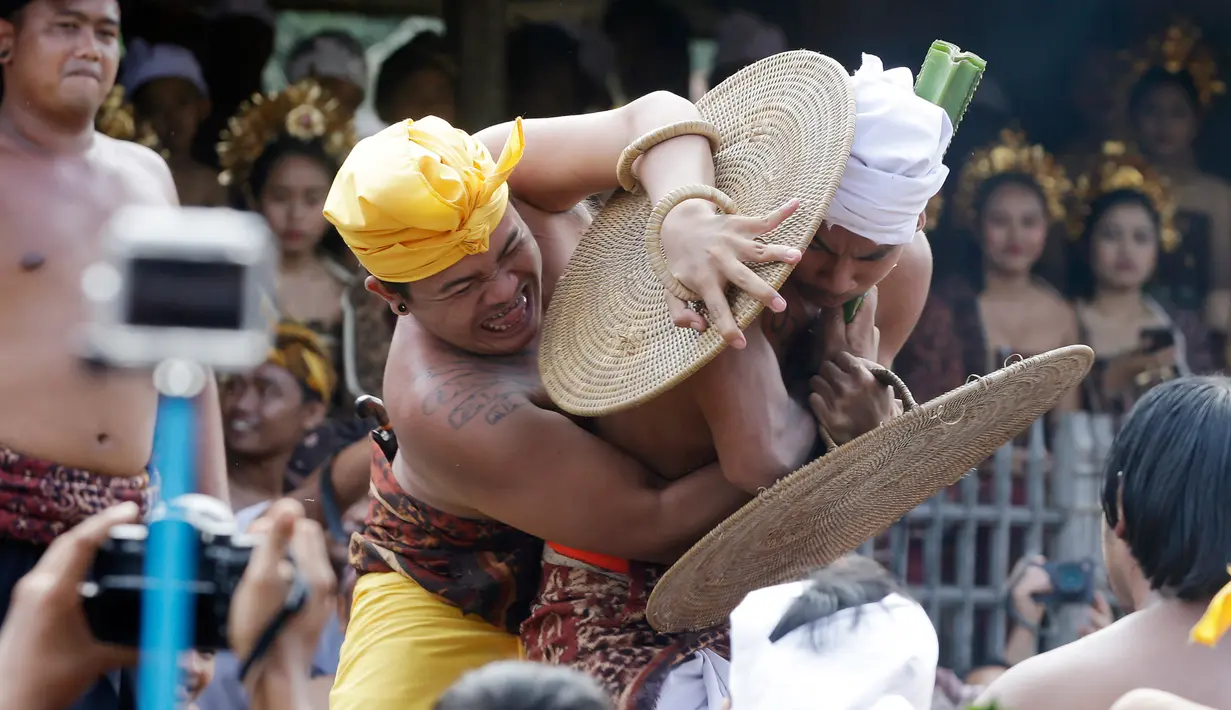 Dua orang laki-laki saling serang saat mengikuti Perang Pandan di Bali (8/6). Upacara Sasih Sembah itu sendiri merupakan upacara terbesar yang diselenggarakan hanya sekali dalam setahun. (AP/Firdia Lisnawati)