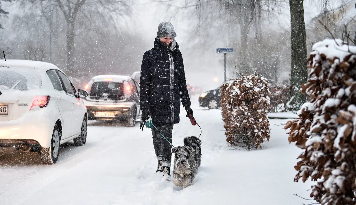 Wanita menuntun anjingnya melewati salju tebal di Aalborg, Denmark, Selasa (27/2). Cuaca dingin di Siberia yang dijuluki "The Beast from the East" membuat suhu di sebagian Eropa menurun. (AFP PHOTO/Scanpix DAN Ritzau SCANPIX/Henning Bagger/Denmark OUT)