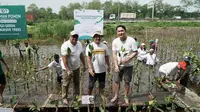 Penanaman mangrove antara Asosiasi Asuransi Jiwa Indonesia (AAJI) dengan menggandeng Yayasan Mangrove Indonesia Lestari.