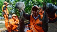 Sebagai informasi, ikan sapu-sapu dikenal sebagai spesies invasif yang berpotensi mengganggu keseimbangan ekosistem. Tampak dalam foto, Petugas Penanganan Prasarana dan Sarana Umum (PPSU) menunjukkan ikan sapu-sapu di kawasan Setu Babakan, Jakarta Selatan, Jumat (17/4/2026). (merdeka.com/Arie Basuki)