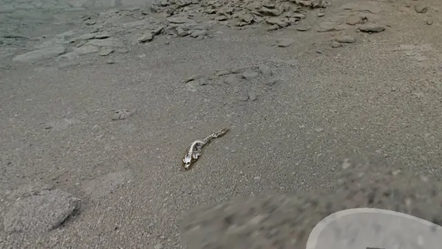 Ilustrasi di Antartika (Google Earth)