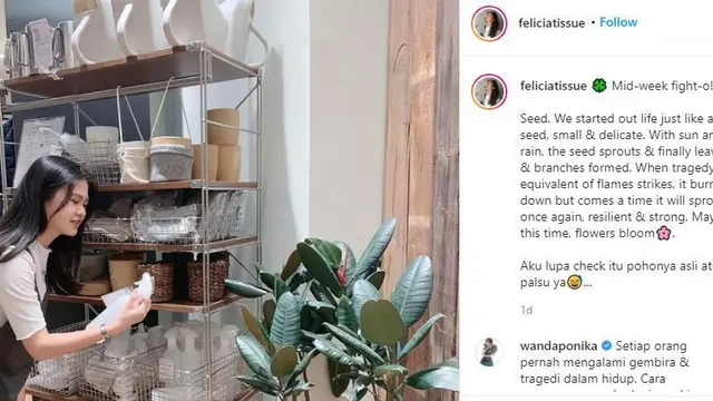 Postingan Felicia Tissue